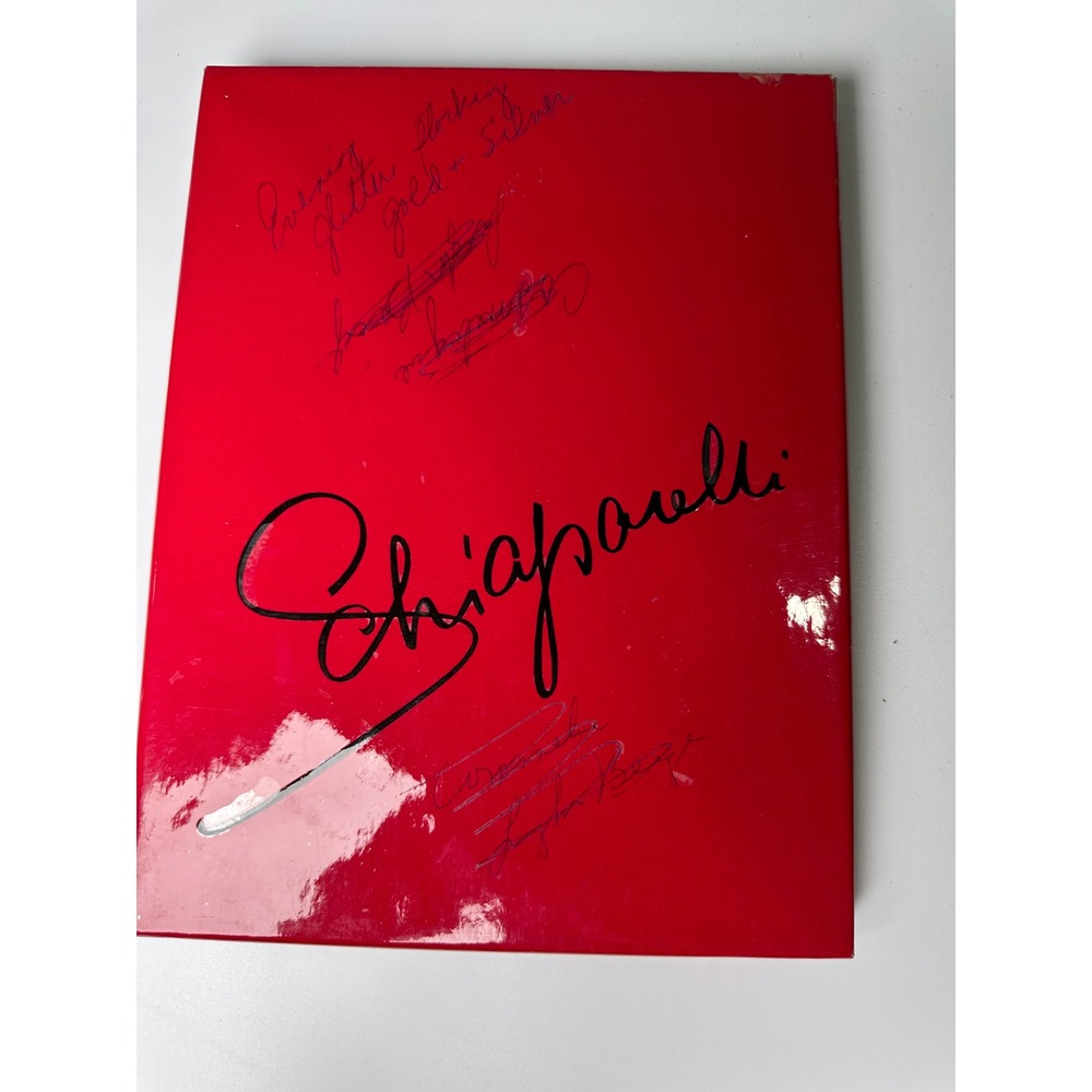 Vintage Schiaparelli Stockings 3 Pairs Nude Sheer Hosiery Original Box Luxury